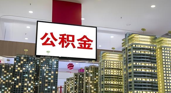 查自己的公积金怎么查-高密公积金代办平台